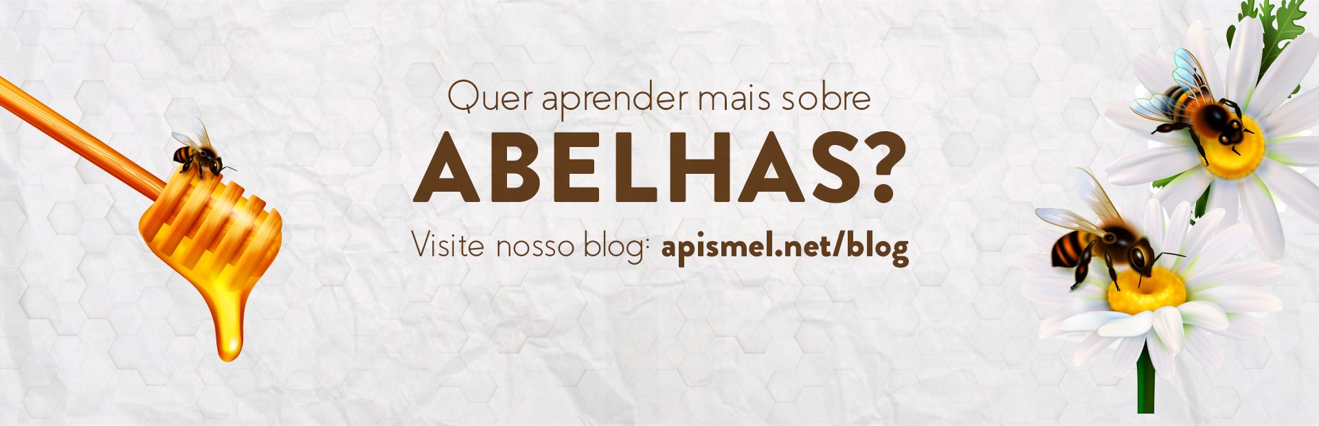APISMEL_Banner_Abelhas_07-10-20